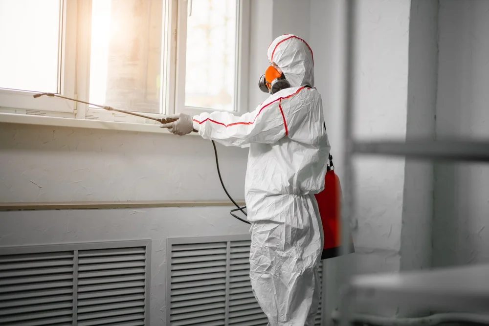 Professional mold remediation services in Bonduel, WI